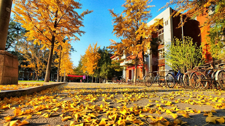大學(xué)院校